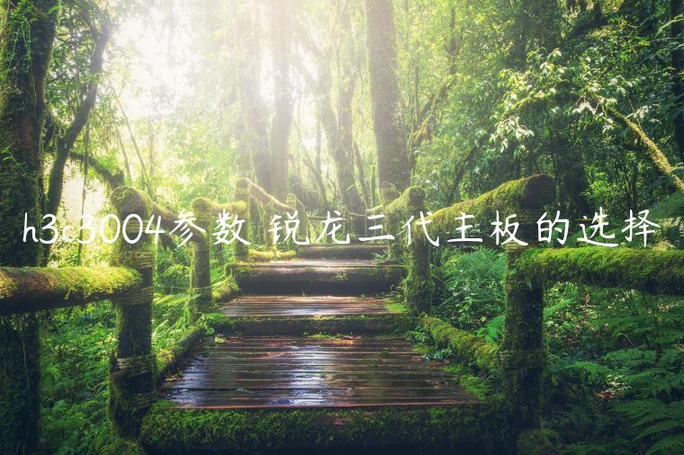 h3c3004参数 锐龙三代主板的选择