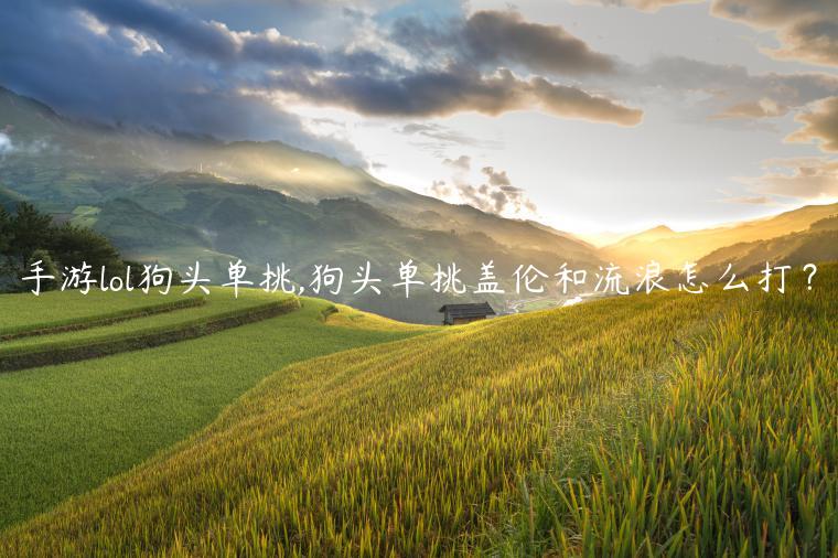 手游lol狗头单挑,狗头单挑盖伦和流浪怎么打？