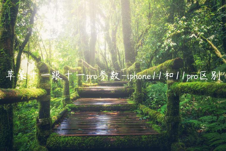 苹果十一跟十一pro参数-iphone11和11pro区别