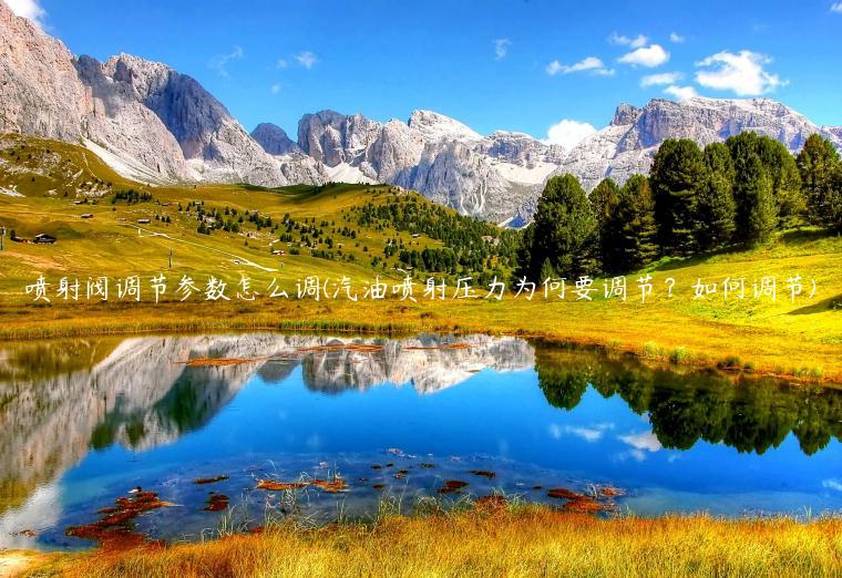 喷射阀调节参数怎么调(汽油喷射压力为何要调节？如何调节)