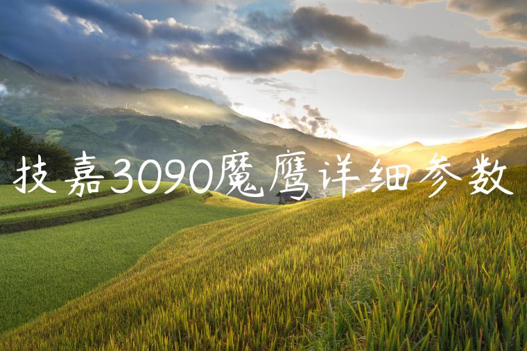 技嘉3090魔鹰详细参数