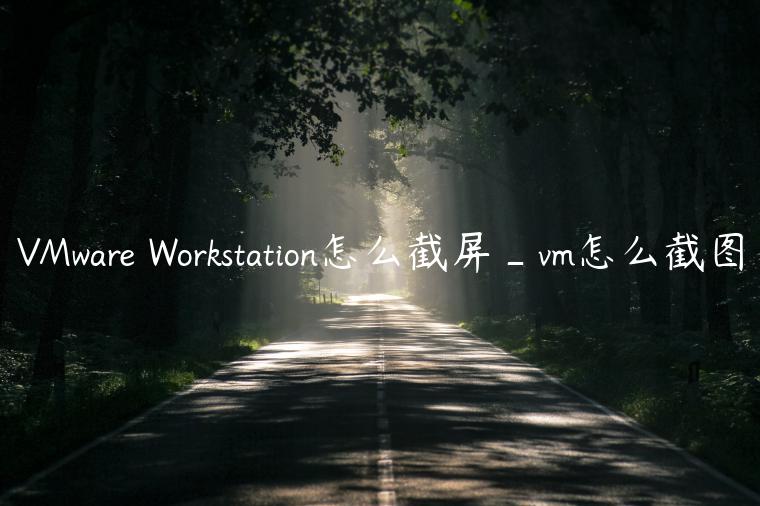 VMware Workstation怎么截屏_vm怎么截图