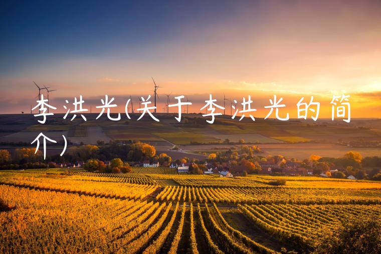 李洪光(关于李洪光的简介)