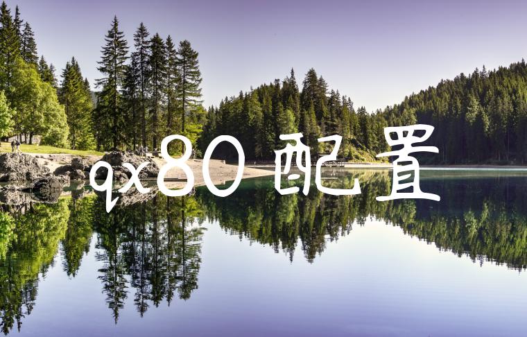 qx80 配置