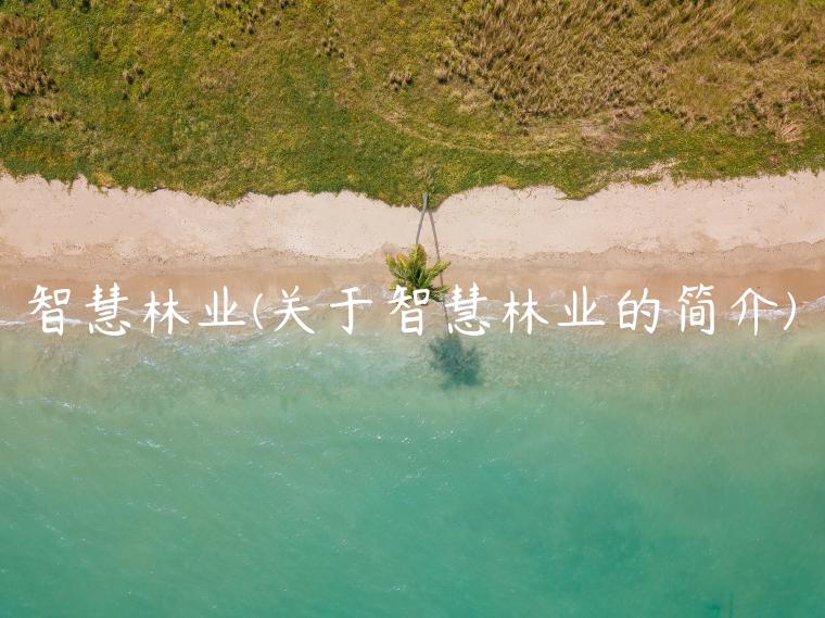 智慧林业(关于智慧林业的简介)
