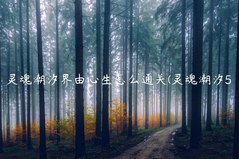 灵魂潮汐界由心生怎么通关(灵魂潮汐5