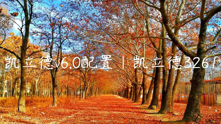 凯立德v6.0配置|凯立德3261