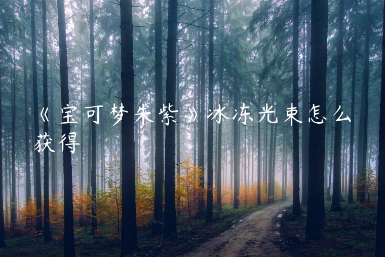 《宝可梦朱紫》冰冻光束怎么获得