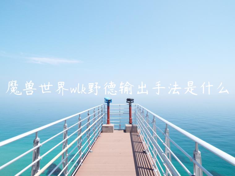 魔兽世界wlk野德输出手法是什么