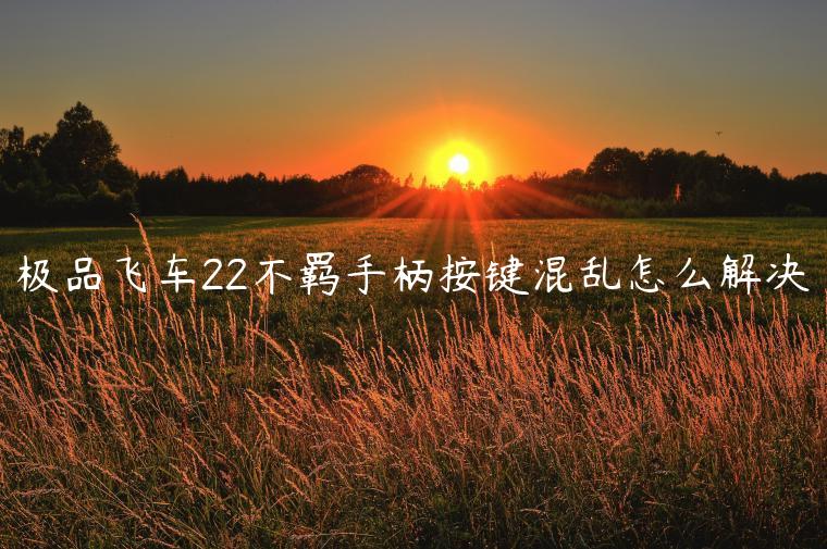 极品飞车22不羁手柄按键混乱怎么解决