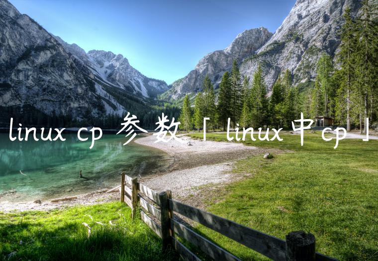 linux cp 参数「linux中cp」
