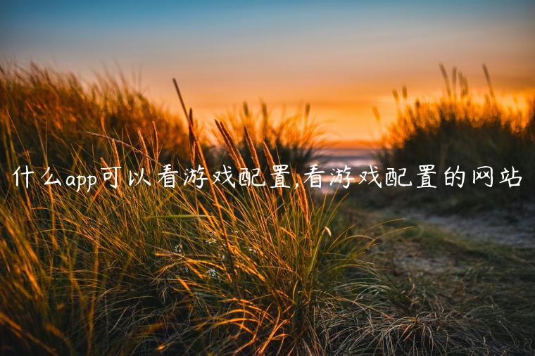 什么app可以看游戏配置,看游戏配置的网站