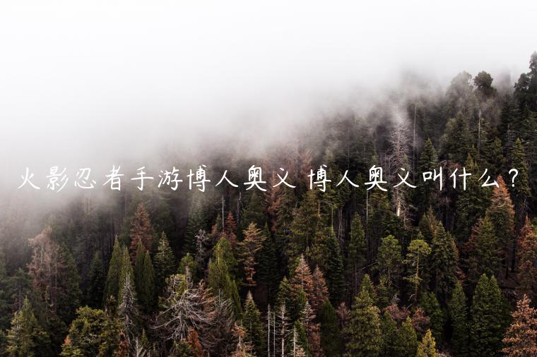 火影忍者手游博人奥义 博人奥义叫什么？