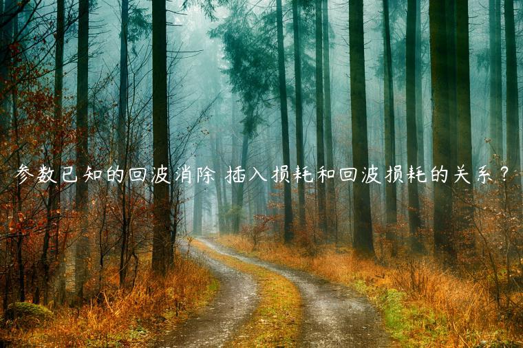 参数已知的回波消除 插入损耗和回波损耗的关系？