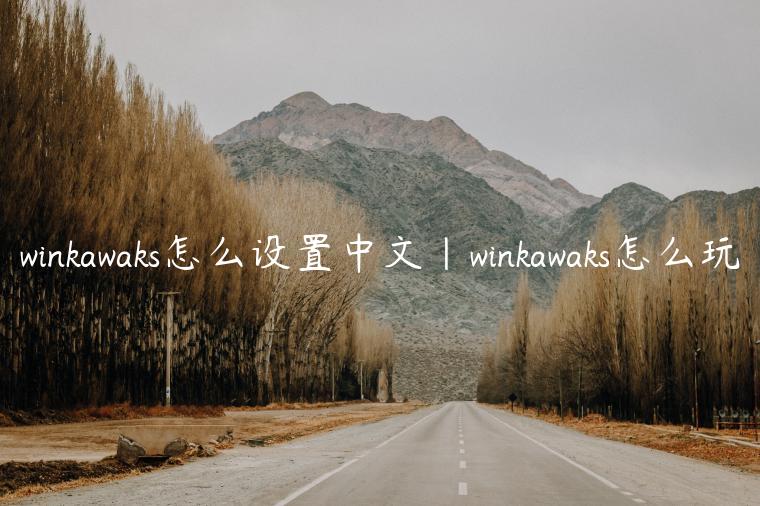 winkawaks怎么设置中文|winkawaks怎么玩
