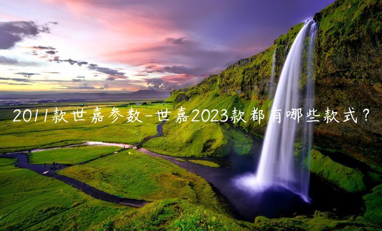 2011款世嘉参数-世嘉2023款都有哪些款式？